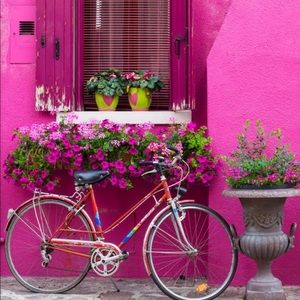 🌴🐚🦩🐚🌴🐚🦩🐚🌴🐚🦩🐚🌴🐚🦩🐚